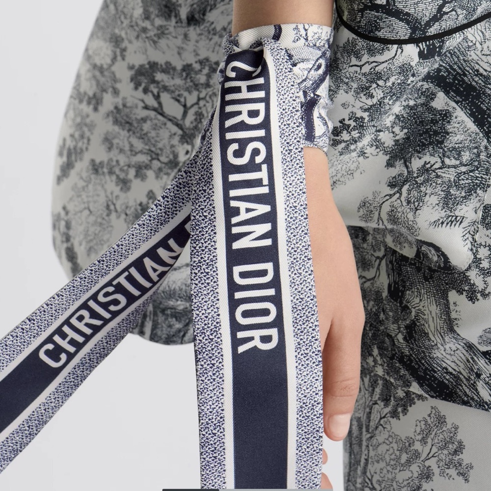 Dior Toile de Jouy Sauvage Mitzah Ivory and Navy Blue Silk Twill - Picture 5 of 8